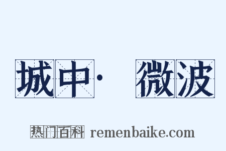 城中·微波是什么意思的图片